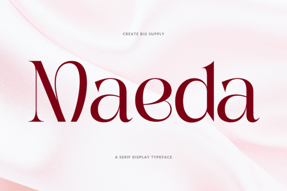 How Choosing the Maeda Font Transformed My Small Business Branding